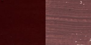 19-brun rouge van dijk ech