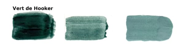 Vert de Hooker 80 ml – Image 2