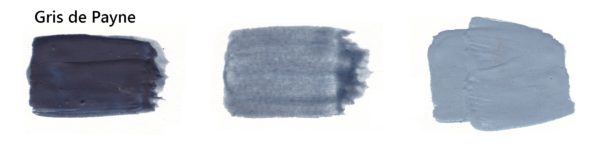 Gris de Payne 80 ml – Image 2